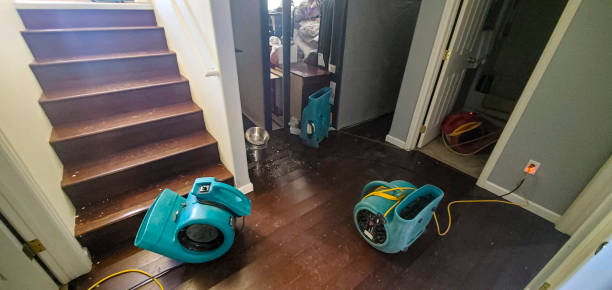 Best Local water damage restoration  in Ocean Ridge, FL