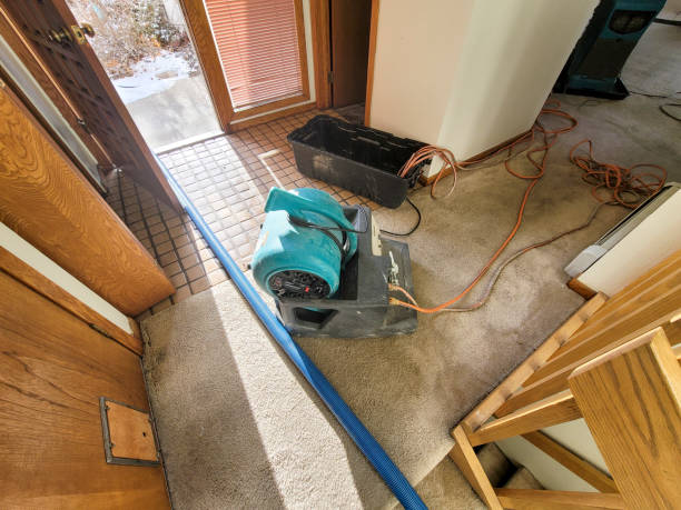 Best Water damage restoration company  in Ocean Ridge, FL