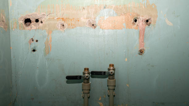 Best Water damage mitigation services  in Ocean Ridge, FL