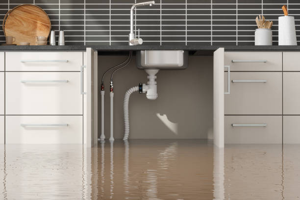 Best Mold removal after water damage  in Ocean Ridge, FL