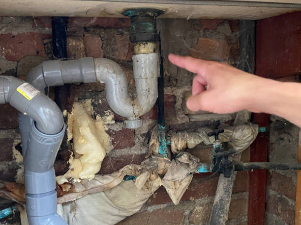 Best Professional water damage repair  in Ocean Ridge, FL