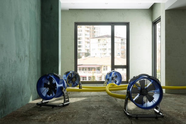 Best Water damage cleanup near me  in Ocean Ridge, FL